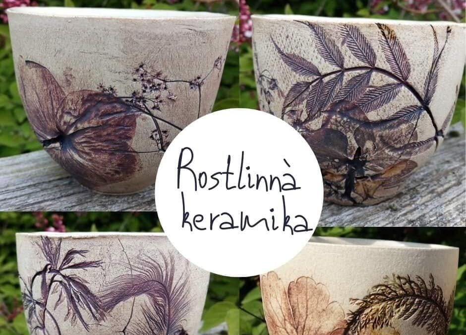 🏵️ Hostující kurz ROSTLINNÁ KERAMIKA  s Dášou Kalodovou  (Belgie)   (21/7)